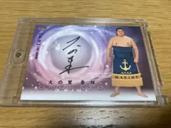 2025年最新】大の里 サインカードの人気アイテム - メルカリ