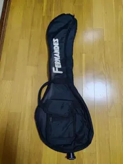 Fernandes zo3 ケース