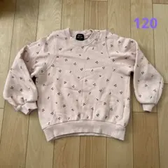 プティマイン トレーナー 120