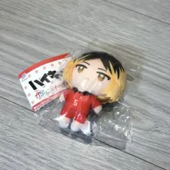 ハイキュー!! かぷっこふれんず2 孤爪研磨