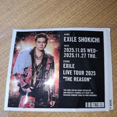 EXILE SHOKICHI レモンスカッシュステッカーのみ