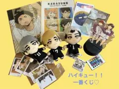 ハイキュー!! ぬいぐるみ＆クリアファイルアクリルスタンド！！