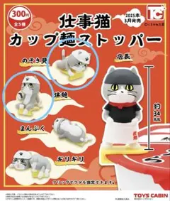 Katze663618様 リクエスト 2点 まとめ商品