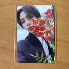 straykids アイエン タレントカード