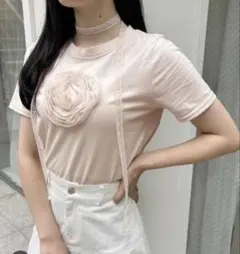 NICE CLAUP 半袖カットソー　Tシャツのサムネイル
