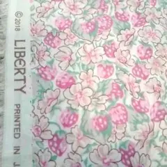 新品リバティタナローン❇ホビーラホビーレ別注❇アシュテッド♡完売品