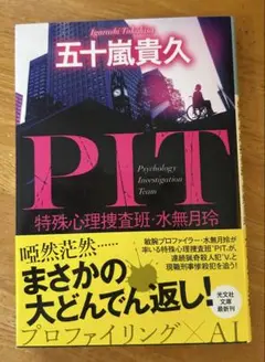PIT 特殊心理捜査班・水無月玲