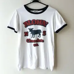 North Shore Chocolate Company　コットンTシャツL