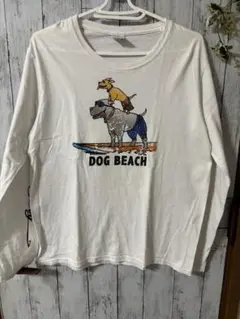 クレイジーシャツ Tシャツ