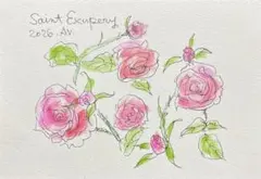 絵画 バラ 水彩画 原画 花 サンテグジュペリ 星の王子さま 癒し インテリア