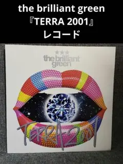 2026年最新】the brilliant greenの人気アイテム - メルカリ
