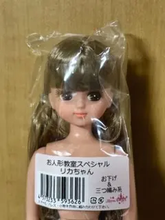 厳選 リカちゃんキャッスル DSモデル 日焼け肌 リカちゃん 新品未開封 2026年最新】日焼けリカちゃんの人気アイテム - メルカリ