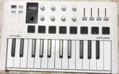 Item thumbnail for item dfafbf4d-937f-4fb4-81cc-aee335c3614e