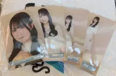 日向坂46 鶴崎仁香　五期生LIVE キービジュアル　コンプのサムネイル