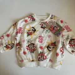 リトシー　ディズニークリスマストレーナー100