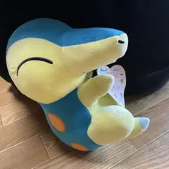 ヒノアラシ キャラクターグッズ