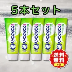 【5本セット】花王 クリアクリーン ナチュラルミント 薬用ハミガキ 120g
