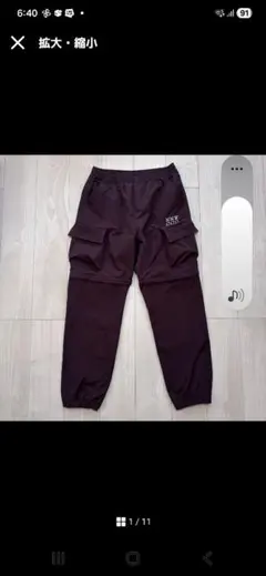 Item thumbnail for item 3176b2a5-431a-4705-80f9-2e253bba56a0