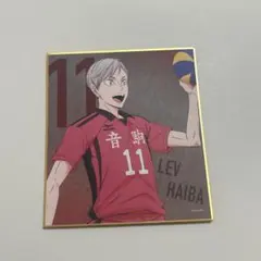 ハイキュー ゴミ捨て場の決戦展 灰羽リエーフ