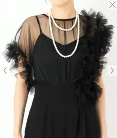 ラグナムーン　LADYチュールドッキングコンビネゾン　M ブラック