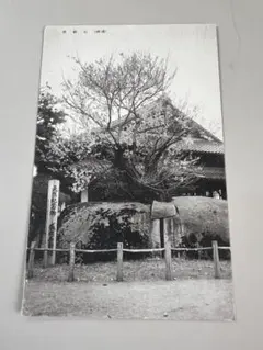 Item thumbnail for item d66df5e6-bdf0-44f5-88c1-babcb257dd31