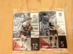 バレーボール 日本代表 トレーディングカード 高橋藍 大塚達宣