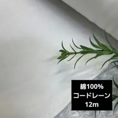 Item thumbnail for item aad6439b-7deb-496b-b1fd-8caec83a7a46