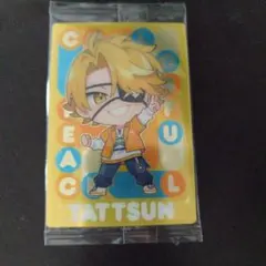 TATTSUN カラフルキャラクターカード