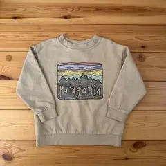 Patagonia パタゴニア トレーナー 3T