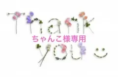 ちゃんこ様専用1kg