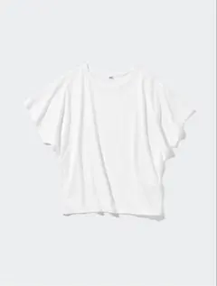 Item thumbnail for item 89c13fc9-b894-4411-9049-7b5f4eecbba2