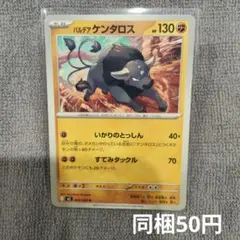 【在庫2】パルデアケンタロスまとめ買いのサムネイル