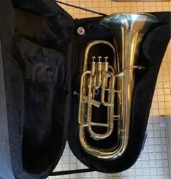 Item thumbnail for item f48fc4f7-0e00-48f5-9be6-1bde9f0dbc82