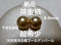超希少サイズ茶金級高品質天然南洋白蝶ゴールデンパールルースピアス 