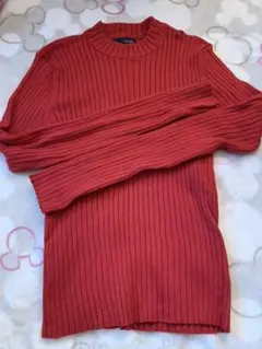 a.g.plus エージープラス ニット セーター レッド 赤