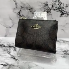 Item thumbnail for item 6355d3c0-931f-42b3-980e-a5beb0f3ce47