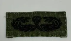 米軍実物未使用品 アメリカ軍 空挺章（マスター） サブデュード パッチ