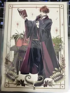 ファンタスティクビースト アニメイト 特典　 ロン ポストカード ハリーポッター