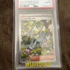 ミツル　ポケキュン　PSA10 ミツル ポケキュン PSA10 【公式通販】