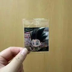 HUNTER×HUNTER シールウエハース vol.6 ゴン SR