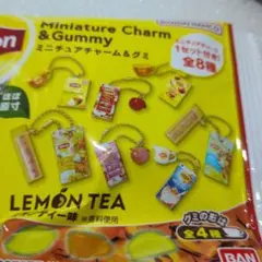 Lipton ミニチュアチャーム水出しアイスティー①