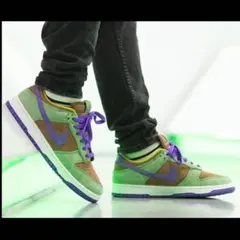 27cm新品未使用Nike Dunk Low SP 