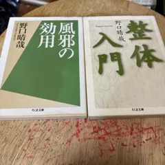 2026年最新】野口晴哉 愉気法2の人気アイテム - メルカリ