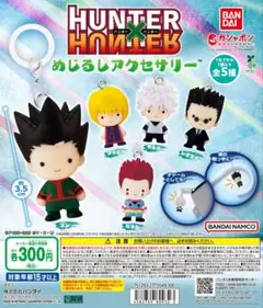HUNTER×HUNTER めじるしアクセサリー 全5種類 コンプ ガチャ ⑮
