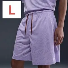 Nike SB Dri-FIT ショートパンツ ハーフパンツ L