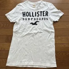 Hollister Tシャツ ホワイト S