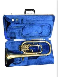 2026年最新】アルトホルン ケースの人気アイテム - メルカリ