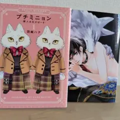 プチミニョン 1 、ペンデュラム 羽純ハナ