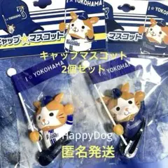 本日限定価格☆横浜DeNAベイスターズ　キャップマスコット　ホーム・ビジター