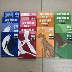 予習シリーズ　6年生 算数・理科・社会・国語 下巻　　早稲田アカデミー　四谷共通